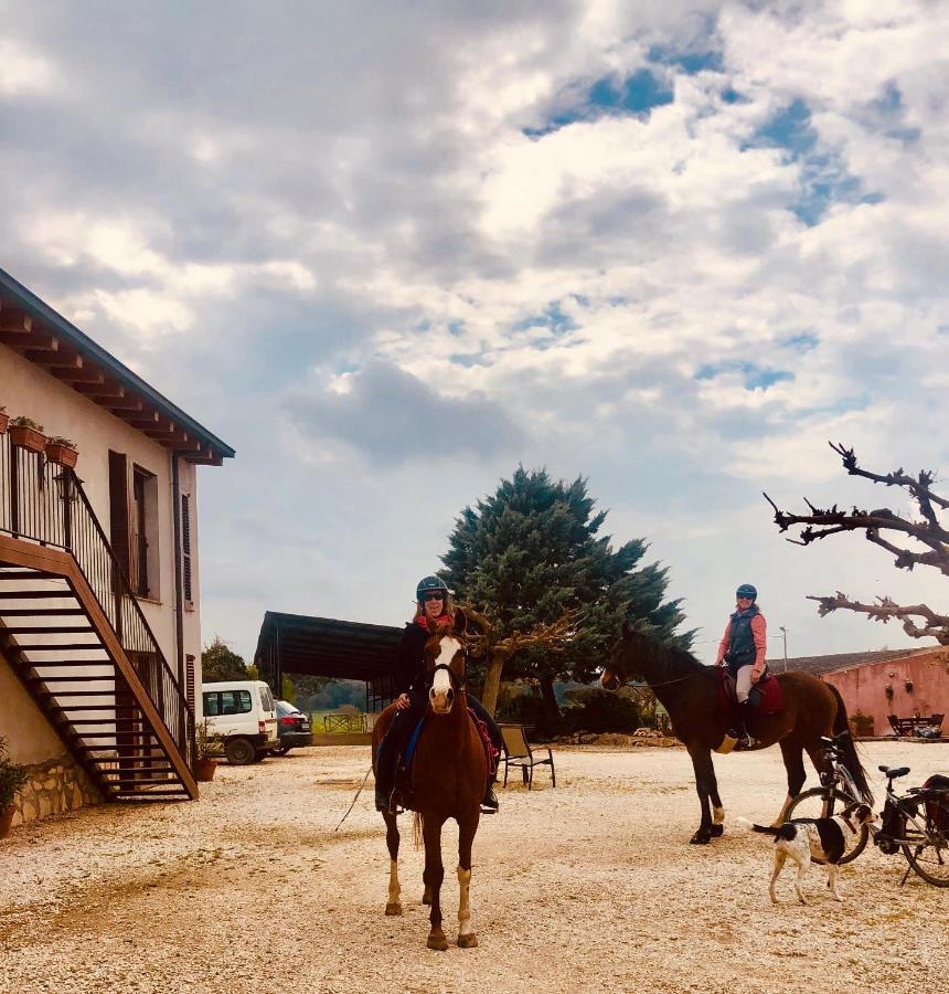 B&B El Ranxo Franciach Екстериор снимка